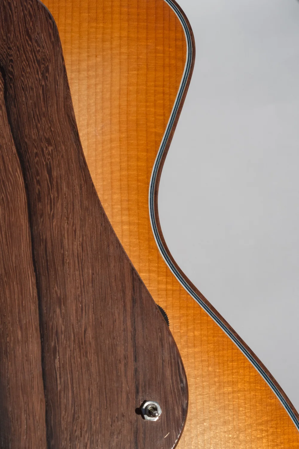 Honeybee Jazzy Bee — Honeybee Guitars